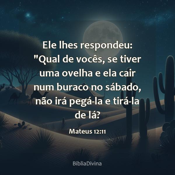 Mateus 12:11