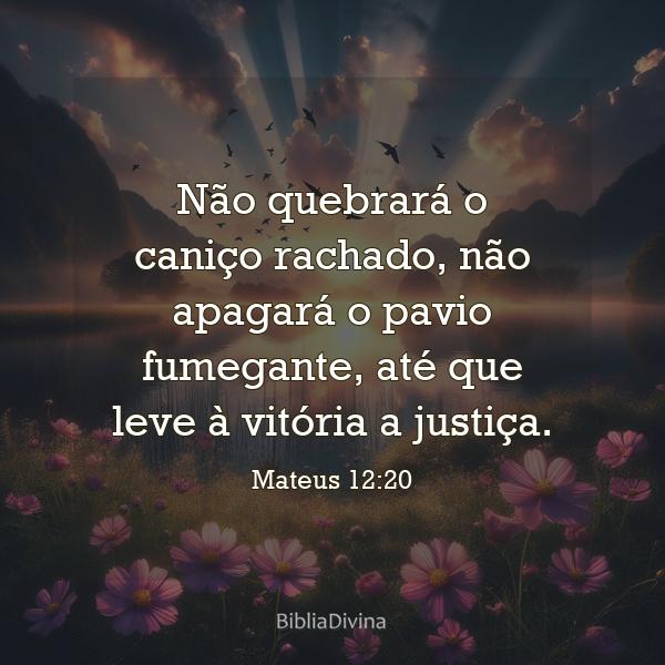 Mateus 12:20