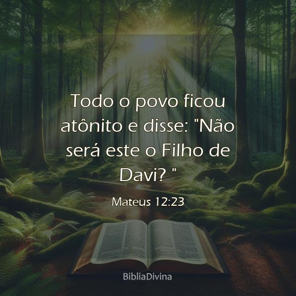 Mateus 12:23