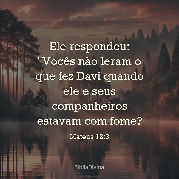 Mateus 12:3