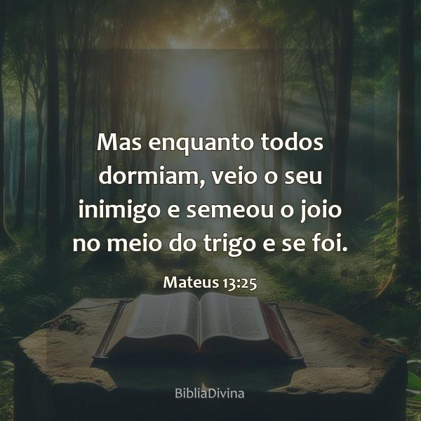 Mateus 13:25