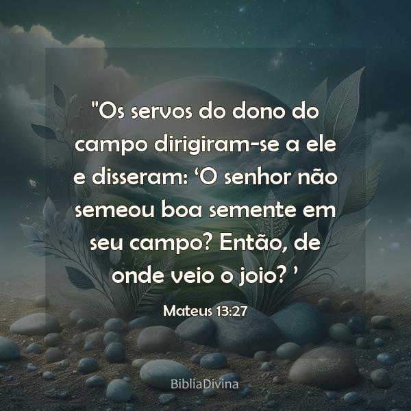 Mateus 13:27