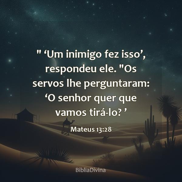 Mateus 13:28