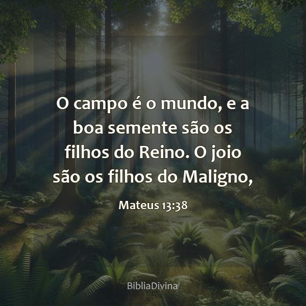 Mateus 13:38