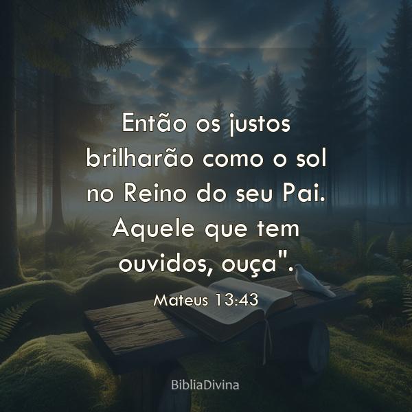 Mateus 13:43