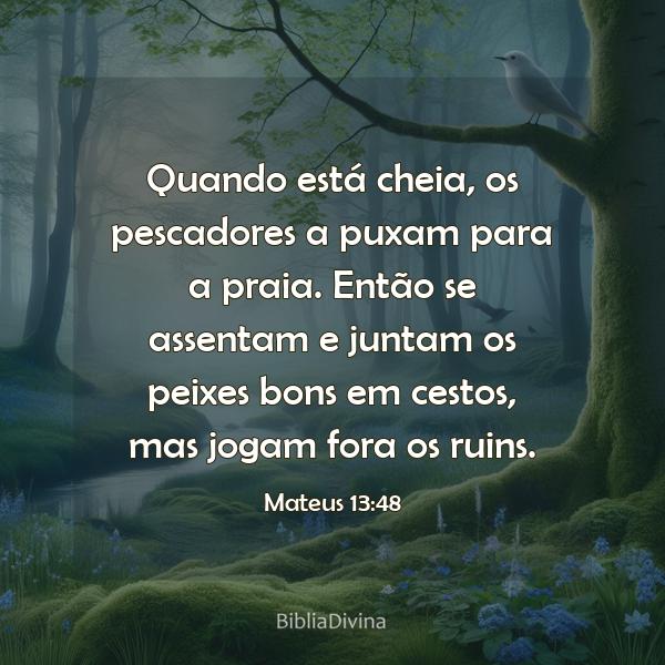 Mateus 13:48