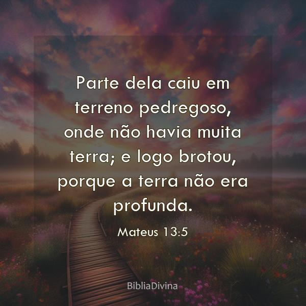 Mateus 13:5