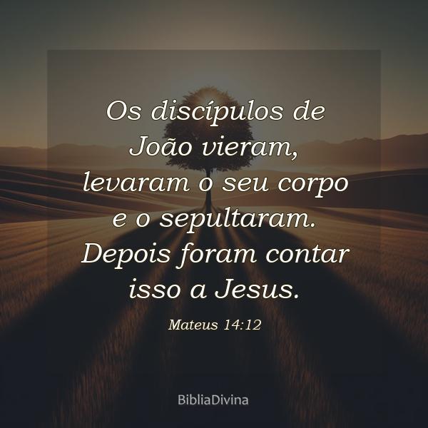 Mateus 14:12