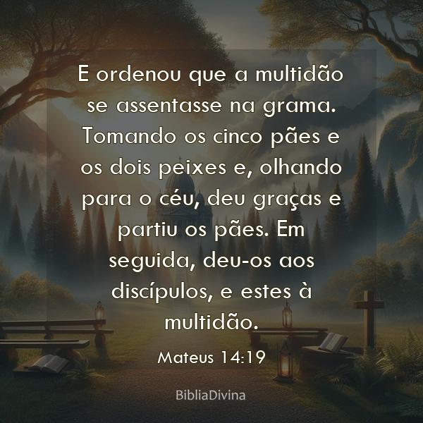 Mateus 14:19