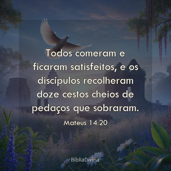 Mateus 14:20