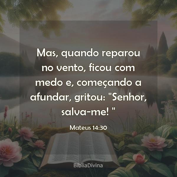 Mateus 14:30