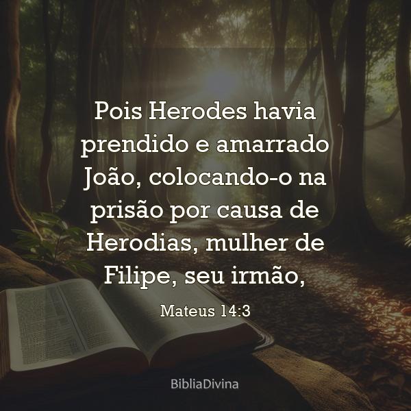 Mateus 14:3