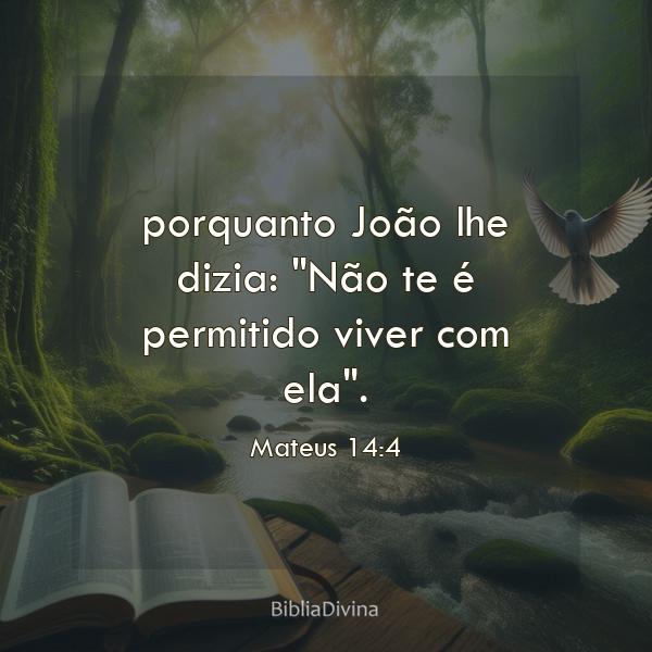 Mateus 14:4