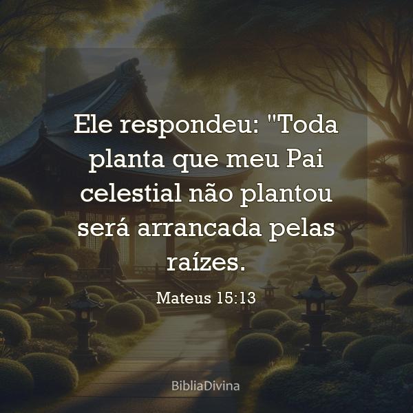 Mateus 15:13