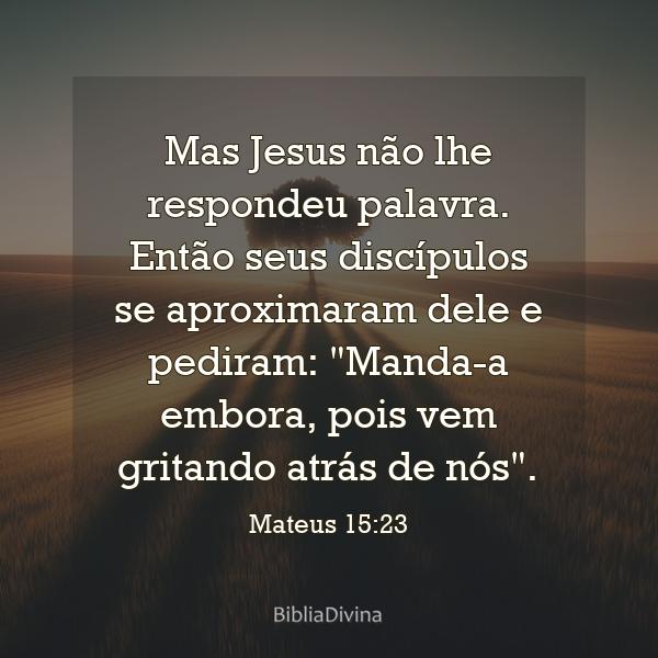 Mateus 15:23