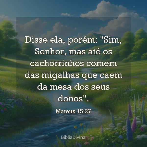 Mateus 15:27