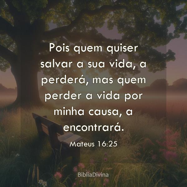 Mateus 16:25