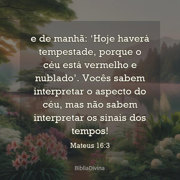 Mateus 16:3