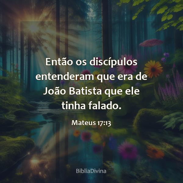 Mateus 17:13