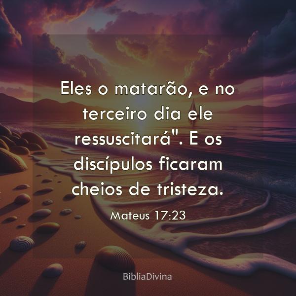 Mateus 17:23