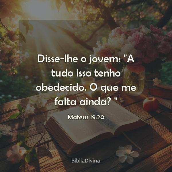 Mateus 19:20