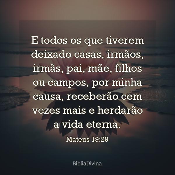 Mateus 19:29