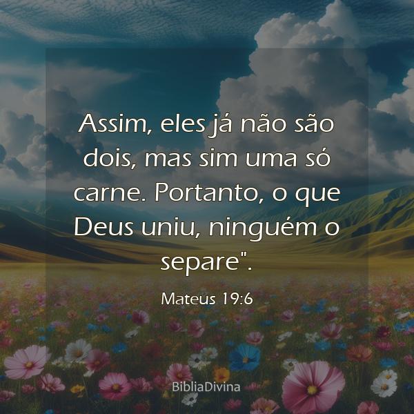 Mateus 19:6