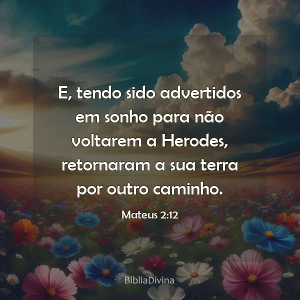 Mateus 2:12