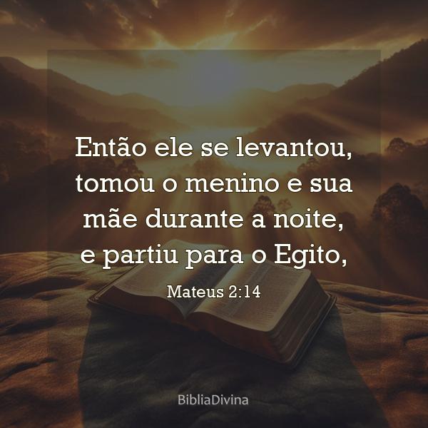 Mateus 2:14