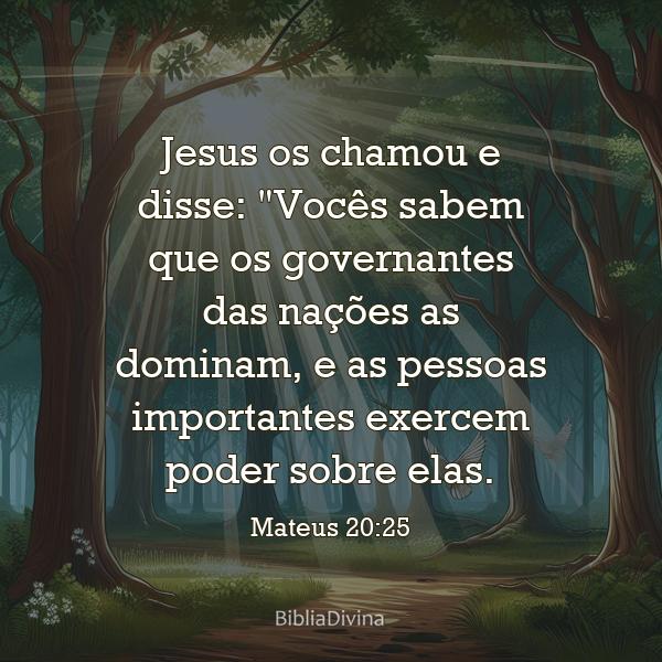 Mateus 20:25