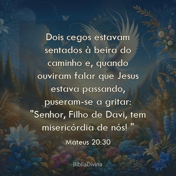 Mateus 20:30