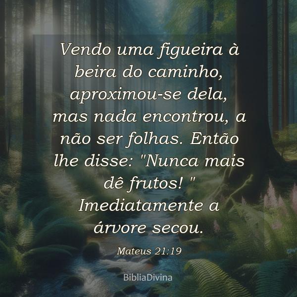 Mateus 21:19