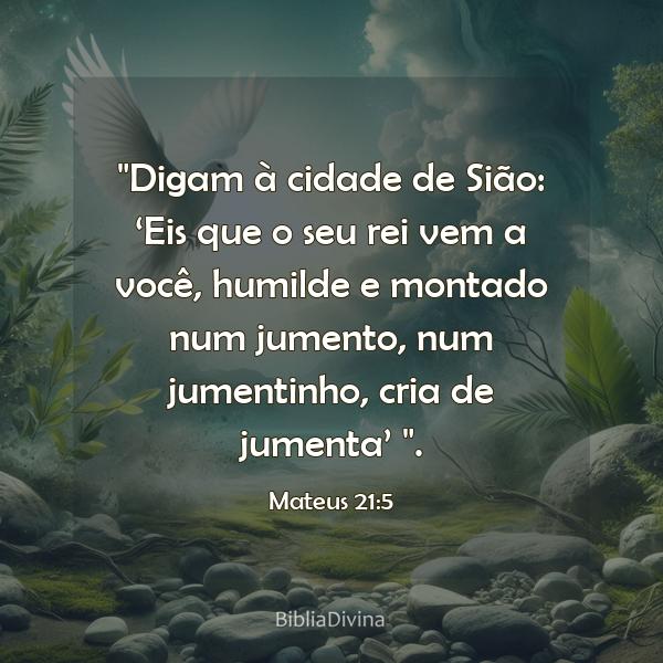 Mateus 21:5