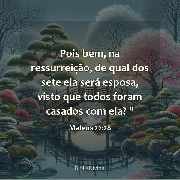 Mateus 22:28