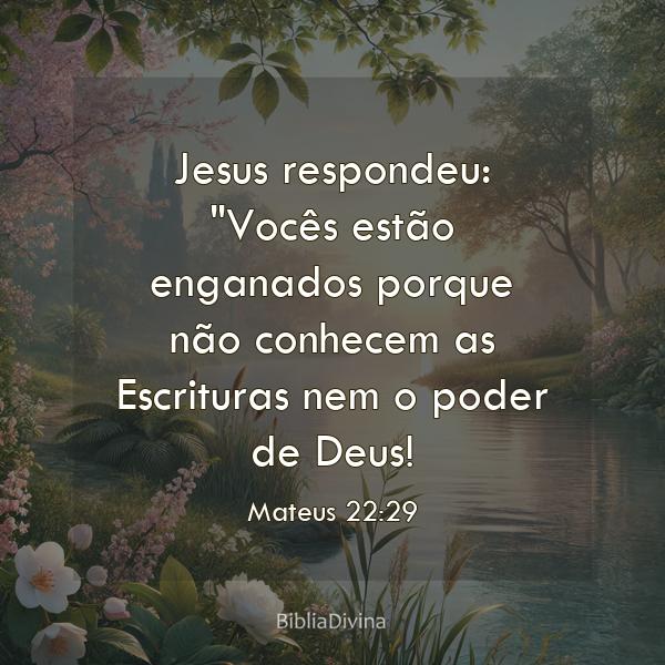 Mateus 22:29