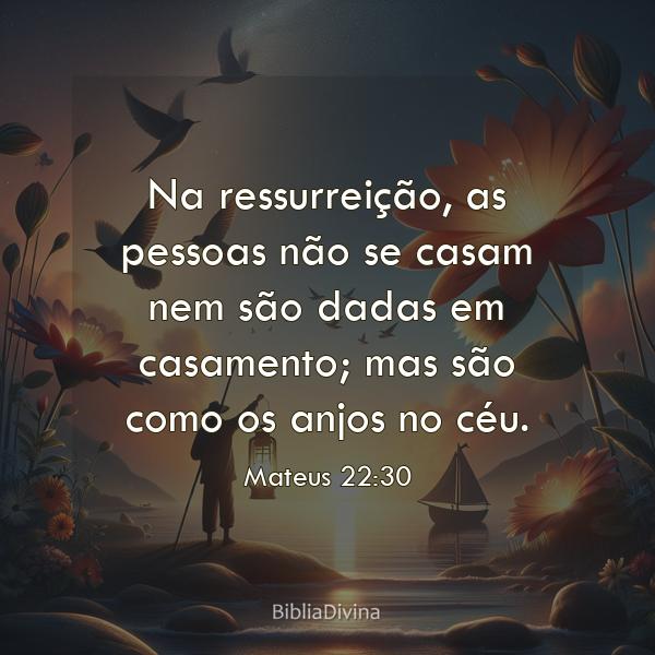 Mateus 22:30