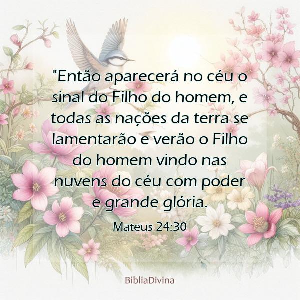 Mateus 24:30