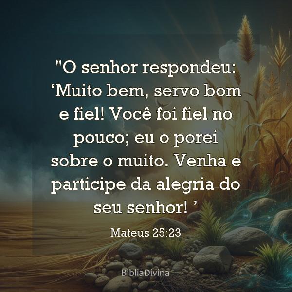 Mateus 25:23