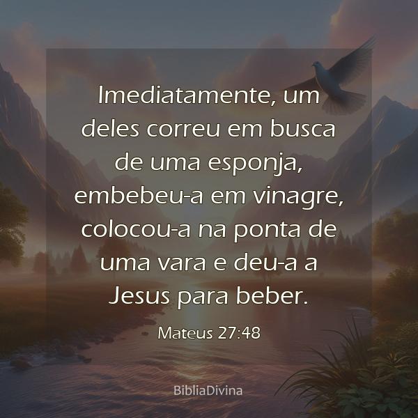 Mateus 27:48