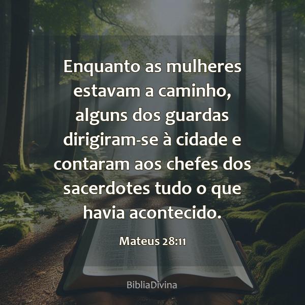 Mateus 28:11