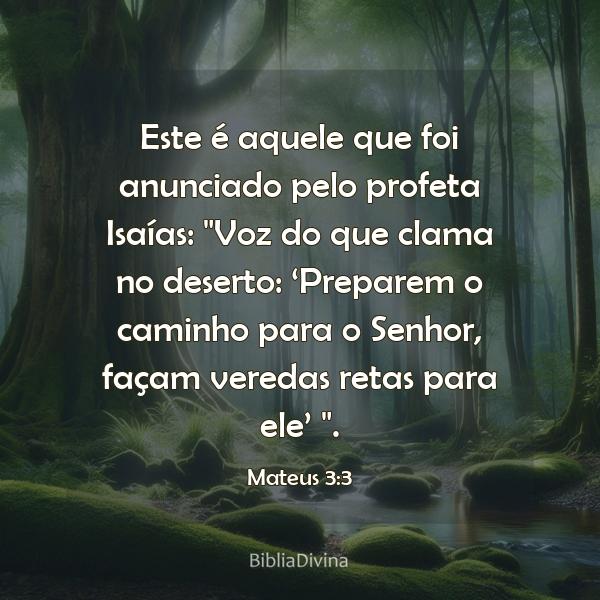 Mateus 3:3