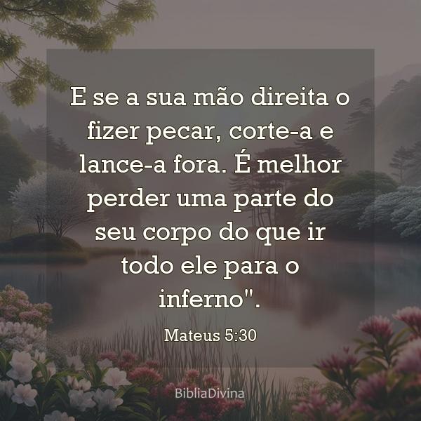 Mateus 5:30