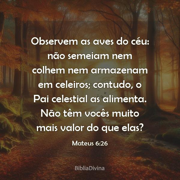 Mateus 6:26