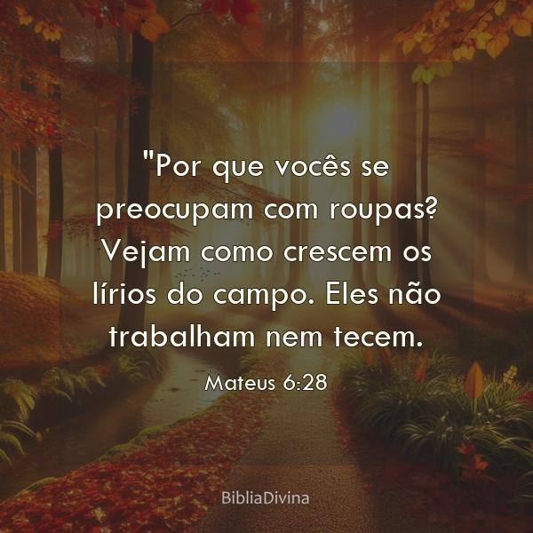 Mateus 6:28