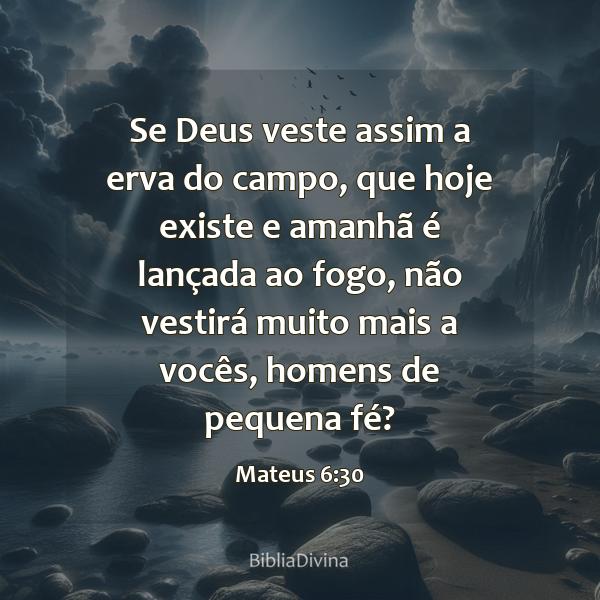 Mateus 6:30