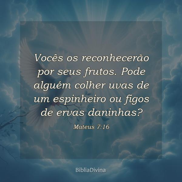 Mateus 7:16