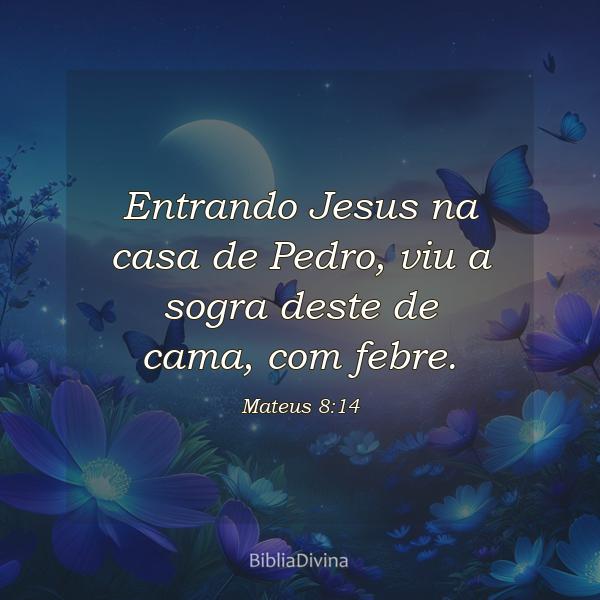 Mateus 8:14