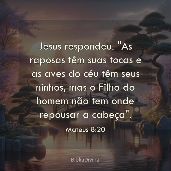 Mateus 8:20