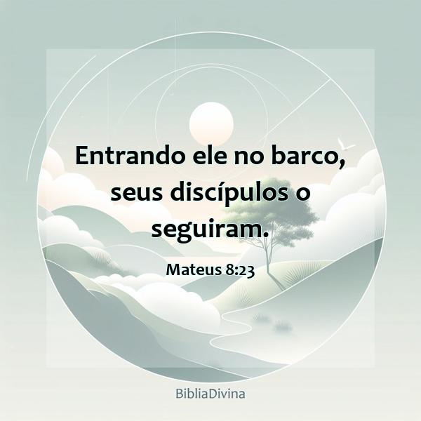 Mateus 8:23