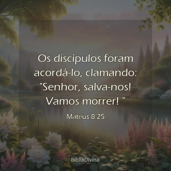 Mateus 8:25